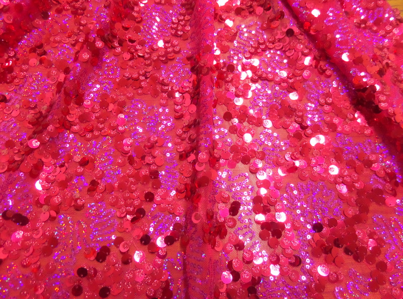 11.Fuchsia Party Sequins